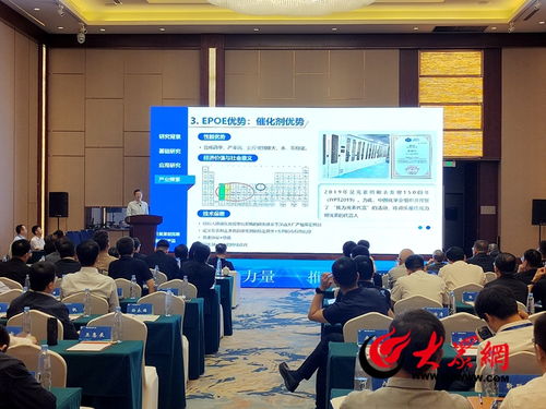 菏澤化工新材料產業 凝聚行業力量，技術驅動高質量發展