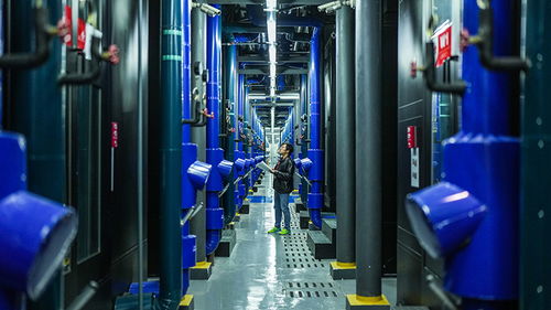 中國棉花協會引領新材料科技領域的技術開發與創新突破