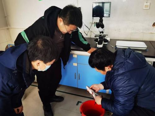 水產(chǎn)學(xué)院專家赴天津渤海農(nóng)業(yè)集團(tuán)開展技術(shù)交流與合作指導(dǎo)